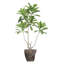 Bleuet artificiel 79,5 po en pot