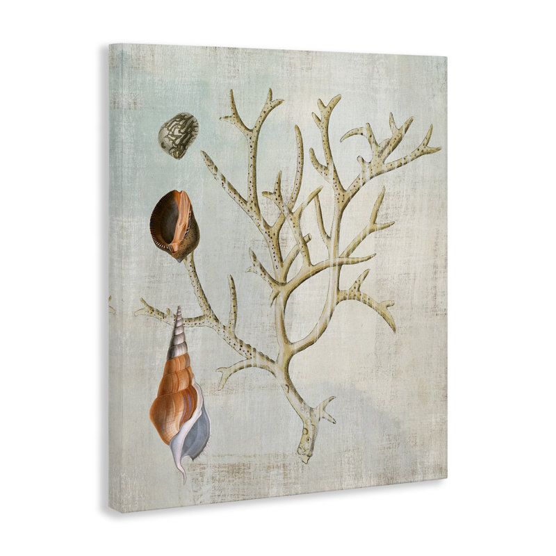 Coquillages et toile de corail, conception par Susan Arnot, H 30 po x l 24 po