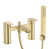 Brushed Brass