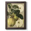 «Apple Harvest I», reproduction sur toile encadrée-1456128699