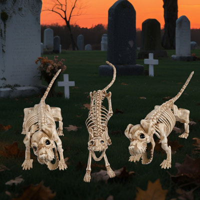 Annekristin 2 Pcs Dog and 1 Pcs Cat Skeleton Halloween Decoration Dachshund Movable Joints