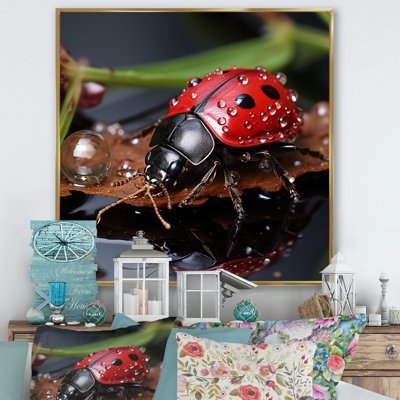 " Lively Ladybug Reflections I "