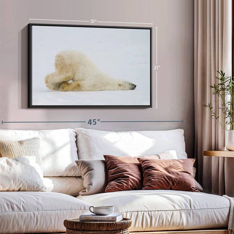 «Lazy Bear», reproduction sur toile, H 21 po x l 31 po