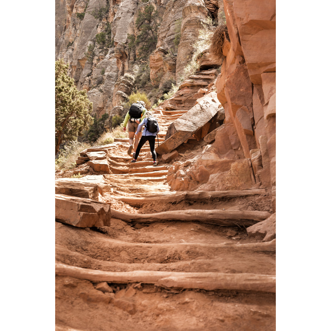 Vater und Teenager-Tochter beim Wandern im Grand Canyon von Wanderluster - Kunstdrucke ohne Rahmen auf Leinwand