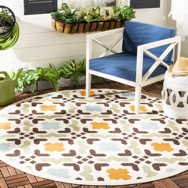 Amedee Performance Oriental Indoor/Outdoor Area Rug