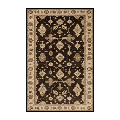 Machine Washable Overdyed Brown Area Rug