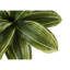 Fausse plante en polypropylène (PP) Maraca 17 po Marrero