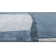 AllModern Shelby Hand-Tufted Wool Area Rug