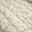 Puff Comforter Set-100042230-99884588