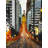 San Francisco By Night Print On Canvas