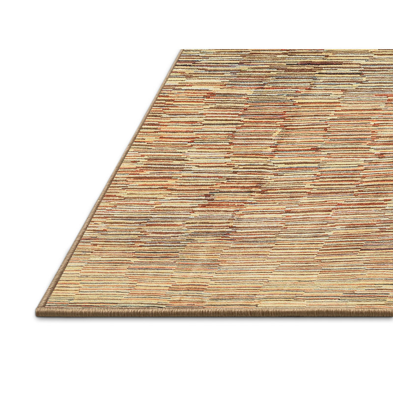 Tapis contemporain brun, Rectangle 4 pi x 6 pi