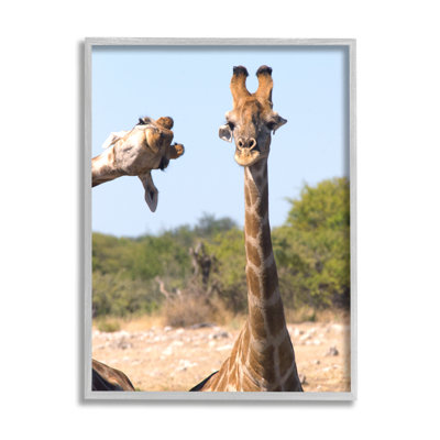 «Ba-401», reproduction amusante de girafes encadrées sur bois par Brigitte Alcalay