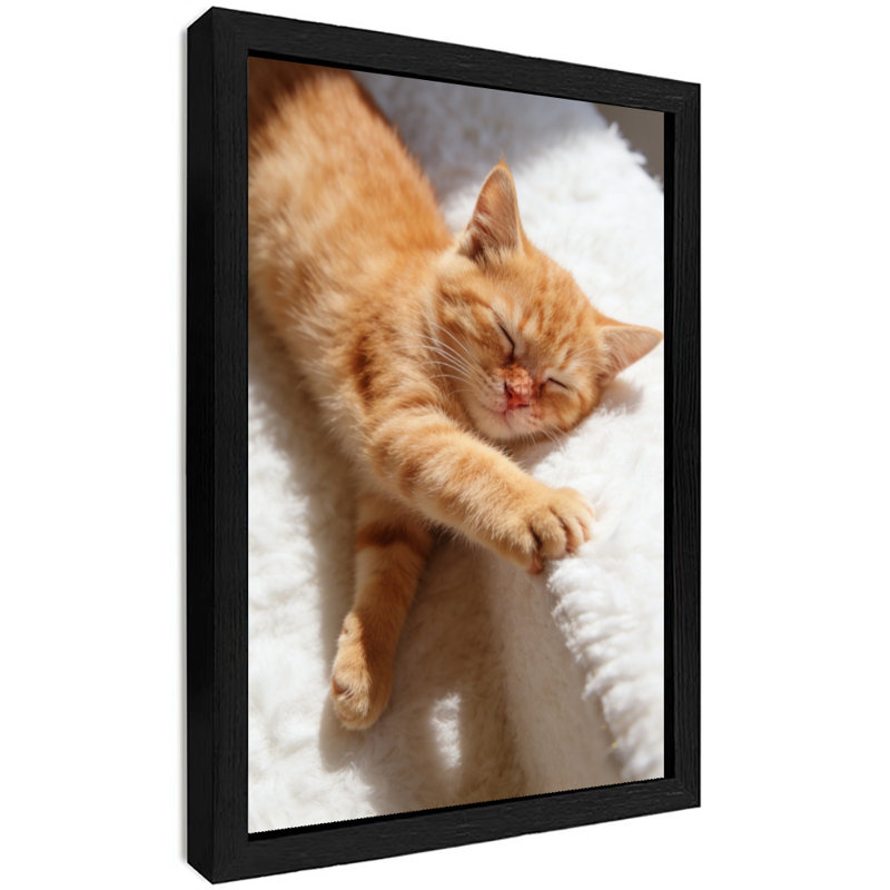 Reproduction d'art encadré noir avec joli chat orange, H 11 po x l 9 po