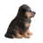 Polyresin Garden Statue
