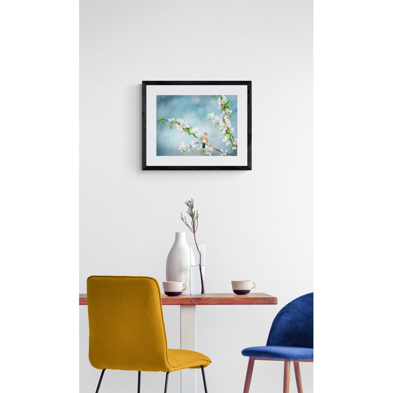 Blue Birds In Cherry Blossoms 2, Black Framed Paper, 17.25" H x 21.25" W