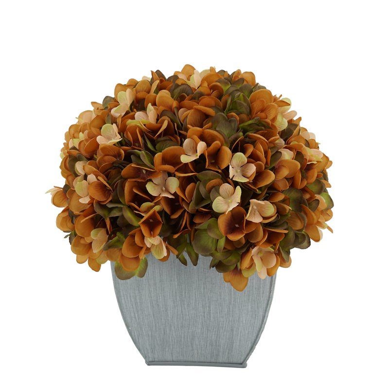 Arrangement floral d'hortensias dans un vase, Café