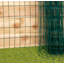 Samuel Alexander 60 cm H x 1000 cm W Border Fencing