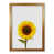 Honey Oak Frame is unavailable