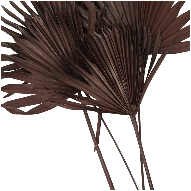 Landscape & Nature Vase Filler, 25.75" H X 17.3" W X 5.85" D, Dark Brown