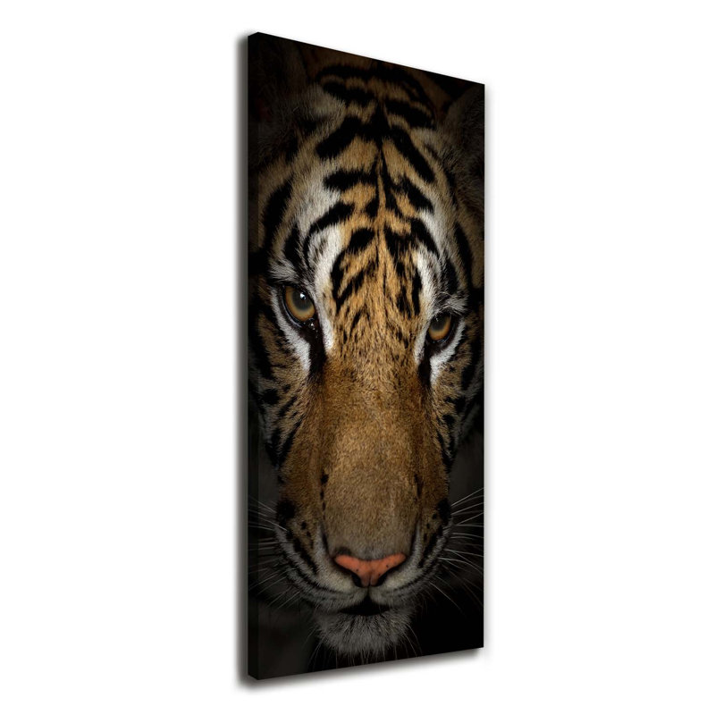 Tiger - Wrapped Canvas Print