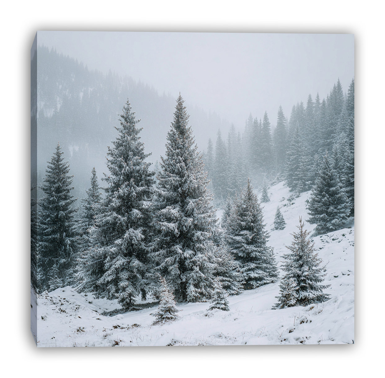 Union Rustic Misty Alpine Forest Wrapped Canvas Wall Art | Wayfair