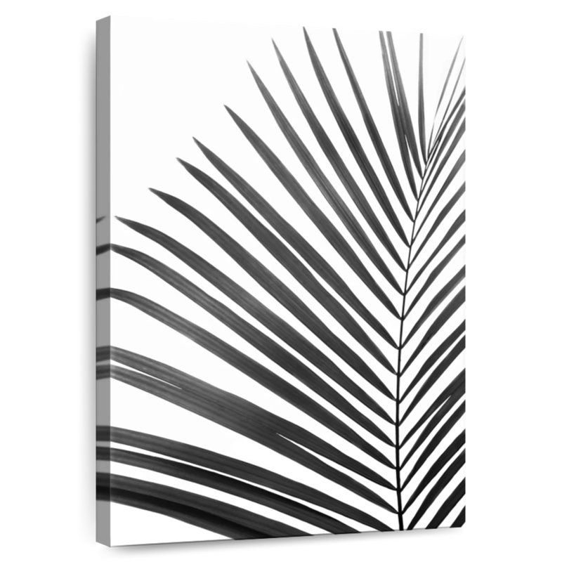 Harnek Palm Leaf In Black And White, 24" H x 16" W