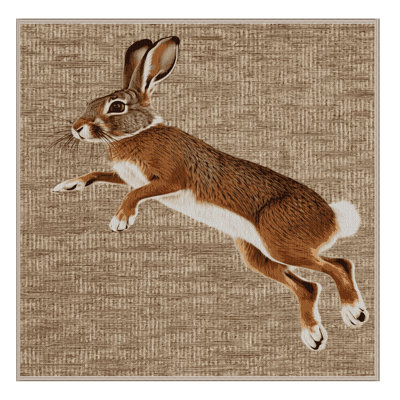  Tapis lavable Spring Hare