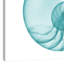 « turquoise sea shell », reproduction d’impression sur toile tendue-23604514
