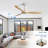 Nicola 60" 3-Blade Ceiling Fan-747933276