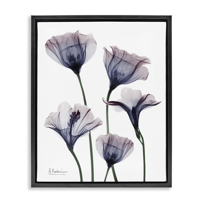 Cadre flottant Subtle Fresh Flowers, design par Albert Koetsier, H 31 po x l 25 po, Cadre flottant noir de jais