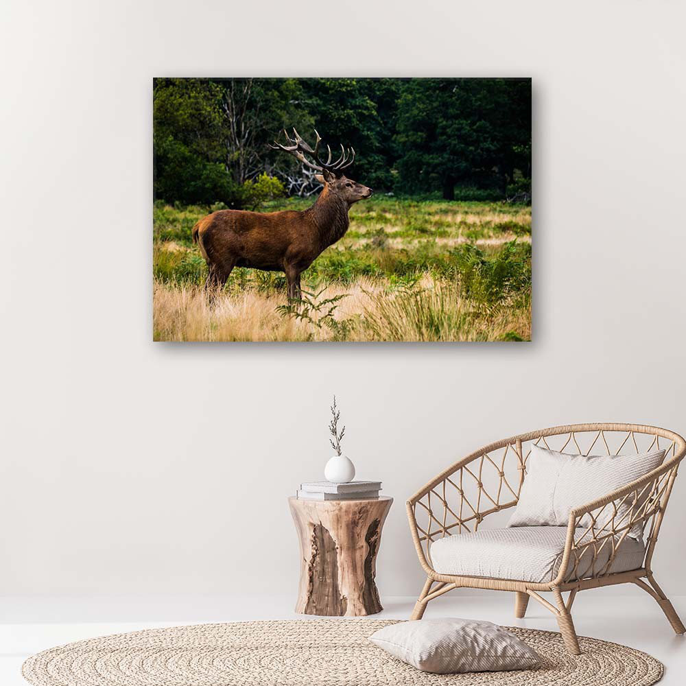 Leinwandbild Roaring deer