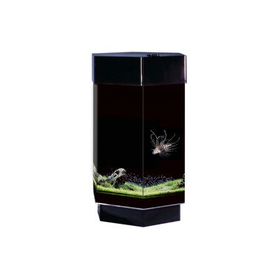Ensemble hexagonal Alanium 8 gallons Alan