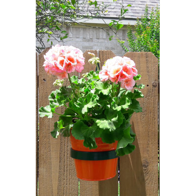 Ensemble de deux pots à fleurs en acier émaillé avec support en fer Lundberg.