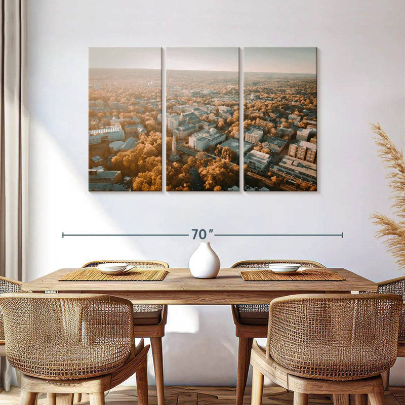 Senne UNC Campus Aerial View, 36" H x 57" W