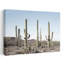 Cactus Land, art mural contemporain-129139360