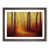 Walnut Framed