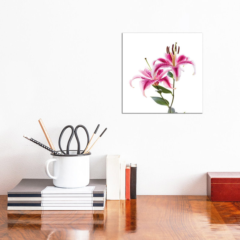 Close-Up Of Stargazer Lily Against White Background - Wrapped Canvas Print, 30.48 cm H x 30.48 cm W
