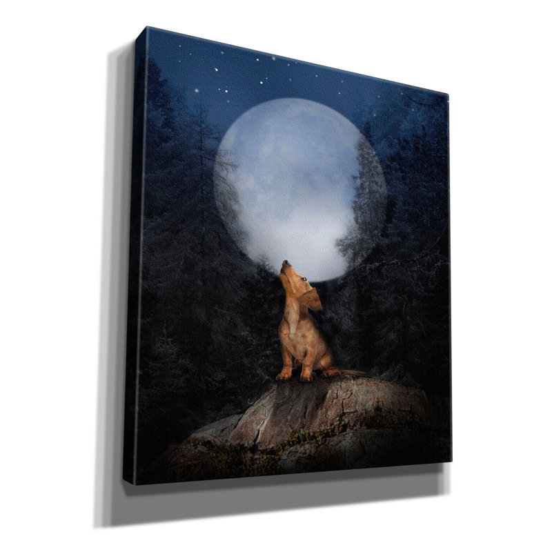  «Call Of The Wild 1» par John Hovenstine, art mural sur toile, 26 po x 30 po