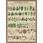 Botanical Chart 2 Print by Nathan Turner