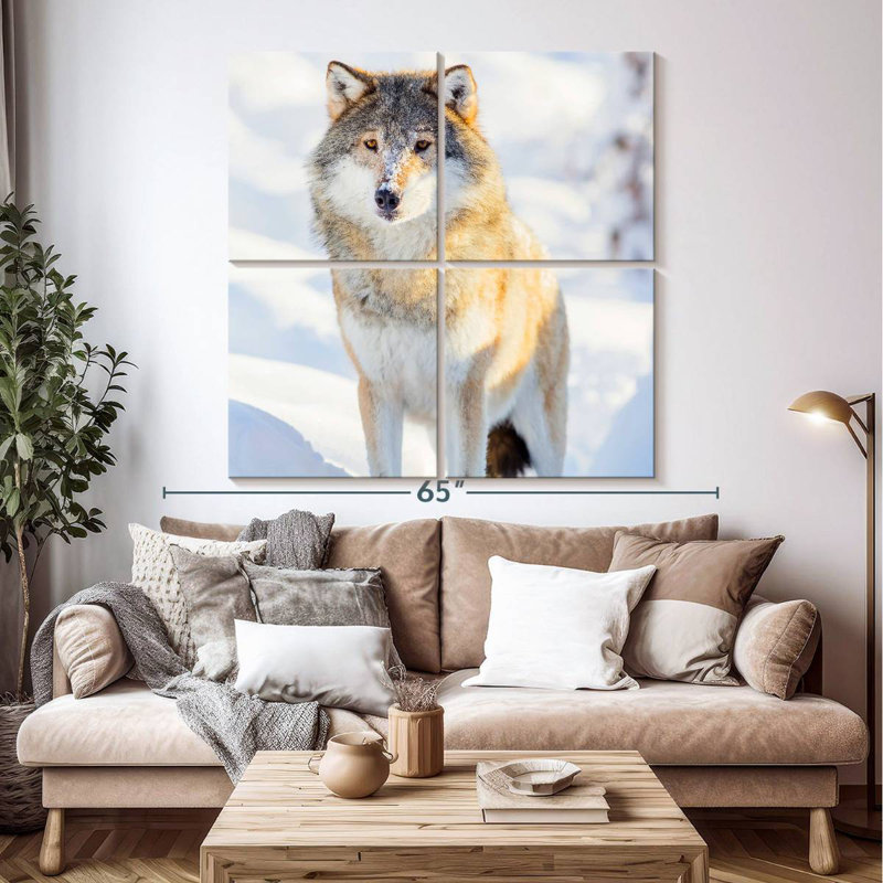 Brampt Winter Gray Wolf