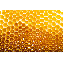 Giant Honey Comb With Bees Cardboard Cutout