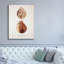 Toile épique Graffiti «Sienna Shell Collector 1» par Annie Warren, 40 po x 54 po-757185002