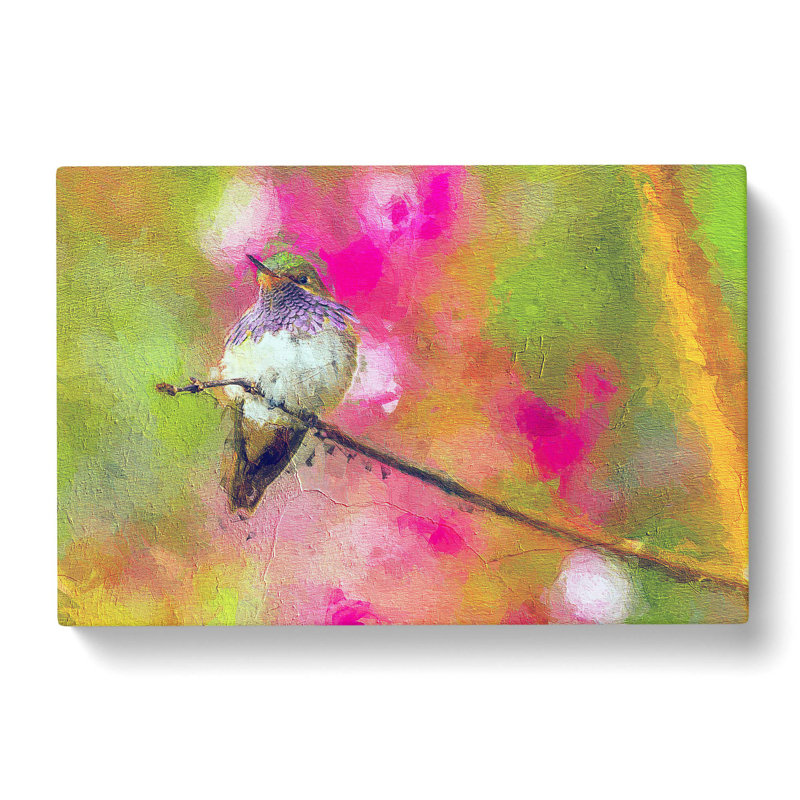 Hummingbird - Wrapped Canvas Painting, 50cm H x 76cm W x 3cm D