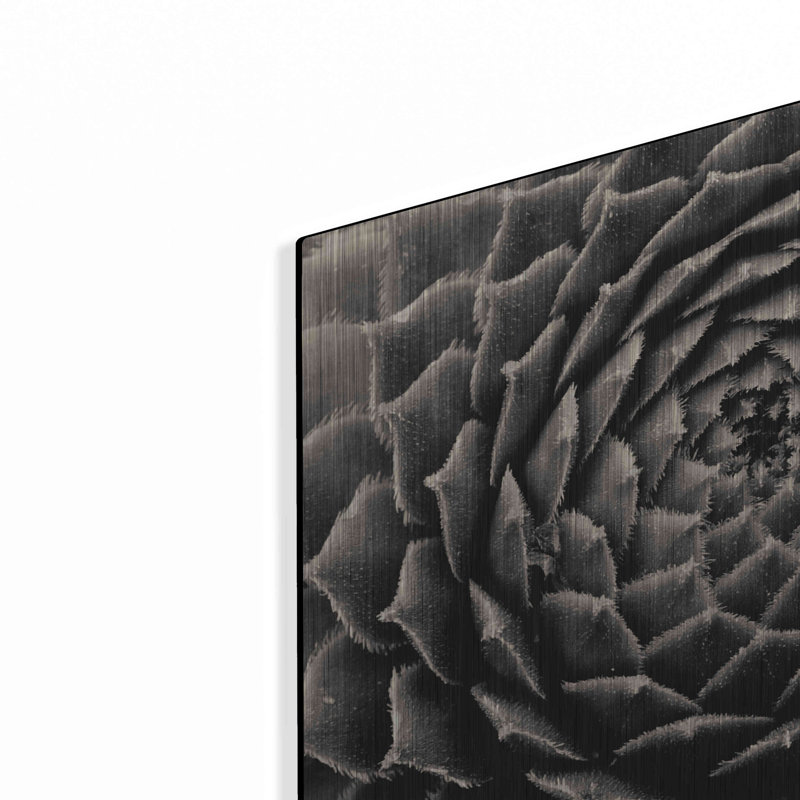«Succulent» par Gary Horsfall, H 12 po x l 12 po