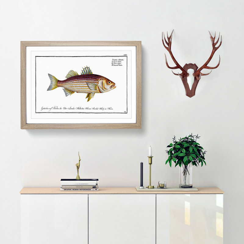 Lineated Umber Fish by M.E. Bloch - Framed Print, 27cm H x 36cm W x 2cm D, Oak Framed