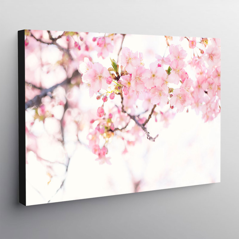 Cherry Blossom Pink Flower - Wrapped Canvas Print, 31 cm H x 41 cm W