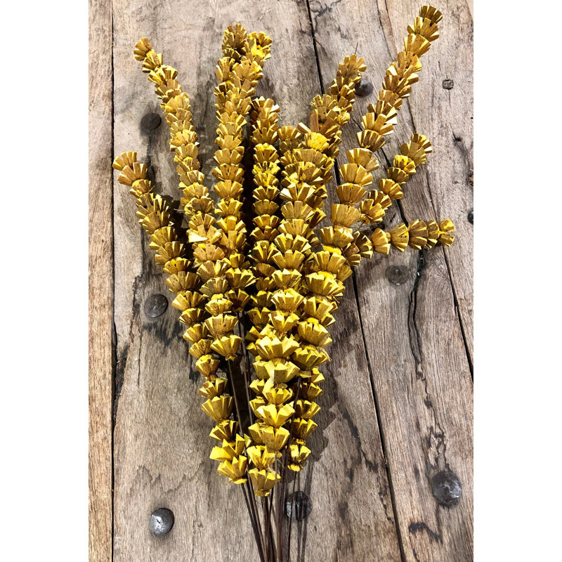 Tige de primevère, Jaune soleil / caramel