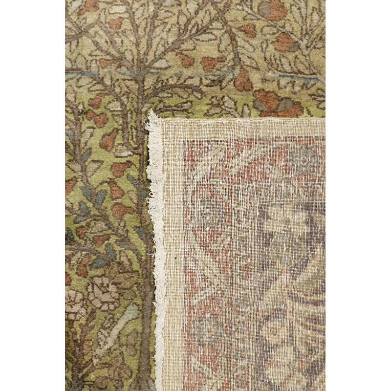 Agra Hand Knotted Wool Oriental Area Rug