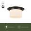 Mineral 11-in Brass Flush Mount-2005206596-2005206599