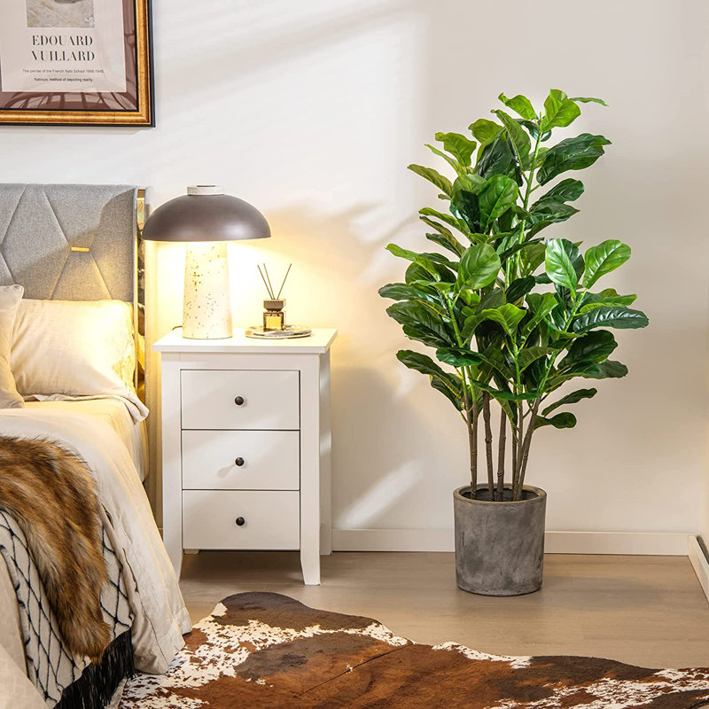 Evergreen Plant in Pot, 130cm H x 17cm W x 17cm D